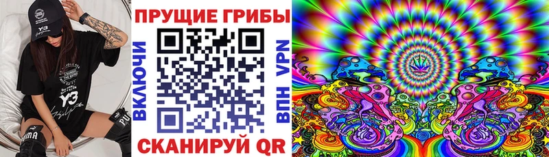 закладки  mega как зайти  Галлюциногенные грибы прущие грибы  Свирск 